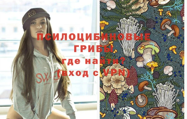 прущие крисы Богородск