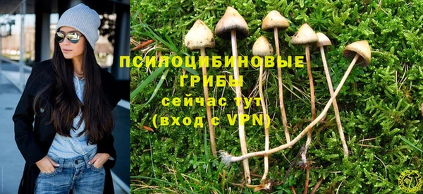 прущие крисы Богородск