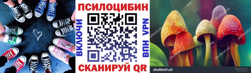 kraken как зайти  Свирск  Галлюциногенные грибы Magic Shrooms 